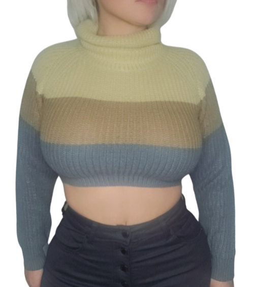 High Neck Crop Sweater